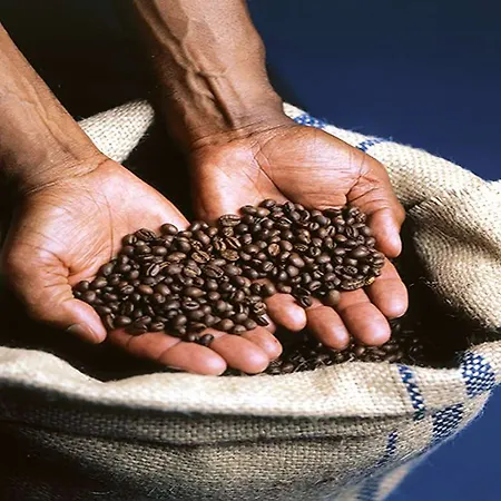 Golden Tulip Hamburg