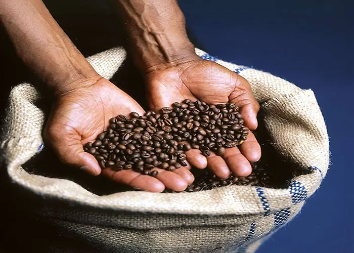 Golden Tulip Hamburg