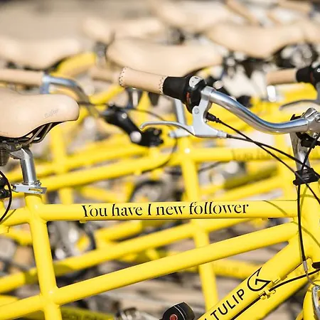 Golden Tulip Hamburg 4*