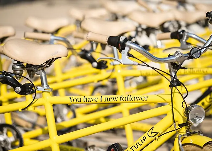 Golden Tulip Hamburg 4*